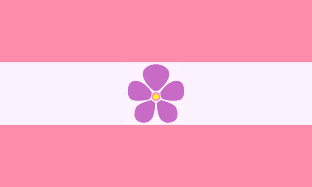 Pictured is the Sapphic Flag, with two pink stripes on the top and bottom, symbolizing love and the center is a violet, a flower
